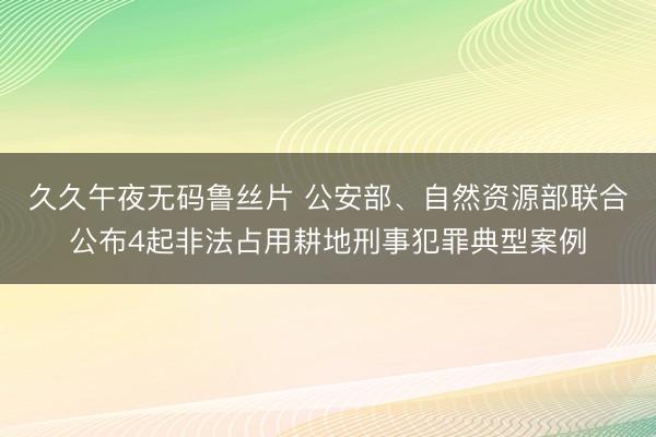 久久午夜无码鲁丝片 公安部、自然资源部联合公布4起非法占用耕地刑事犯罪典型案例