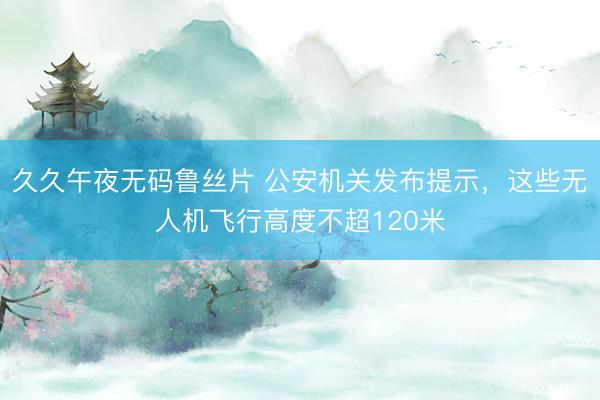 久久午夜无码鲁丝片 公安机关发布提示，这些无人机飞行高度不超120米