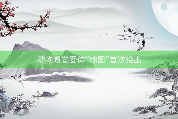 动物嗅觉受体“地图”首次绘出