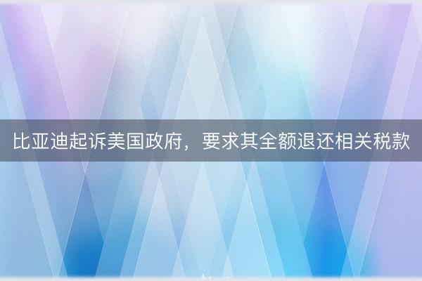 比亚迪起诉美国政府,要求其全额退还相关税款