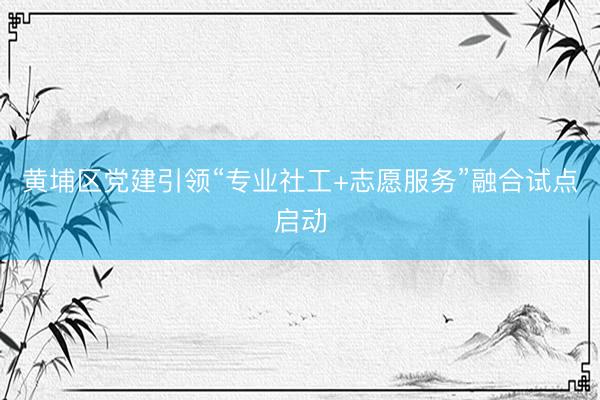 黄埔区党建引领“专业社工+志愿服务”融合试点启动