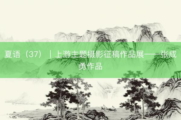 夏语（37）｜上游主题摄影征稿作品展——张成勇作品