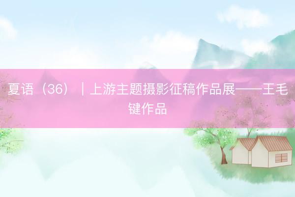 夏语（36）｜上游主题摄影征稿作品展——王毛键作品