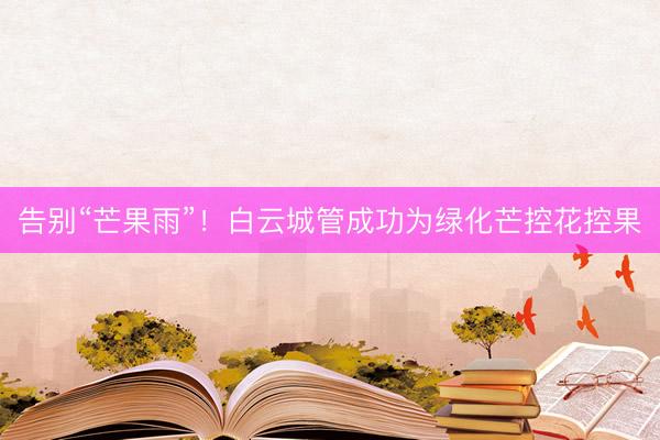 告别“芒果雨”！白云城管成功为绿化芒控花控果