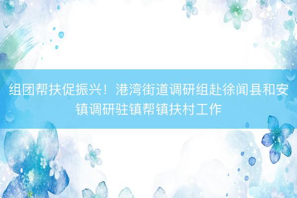 组团帮扶促振兴!港湾街道调研组赴徐闻县和安镇调研驻镇帮镇扶村工作