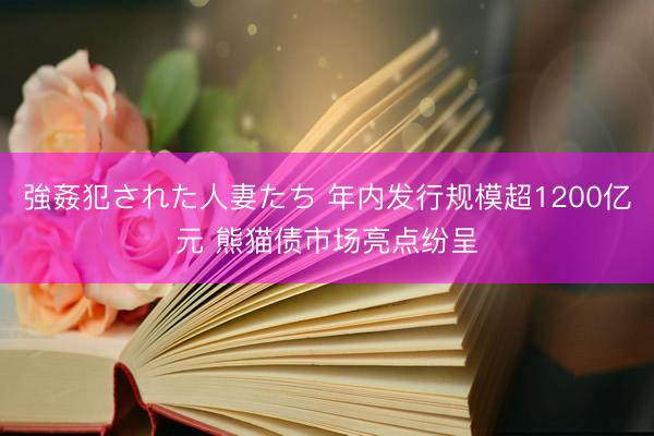 強姦犯された人妻たち 年内发行规模超1200亿元 熊猫债市场亮点纷呈