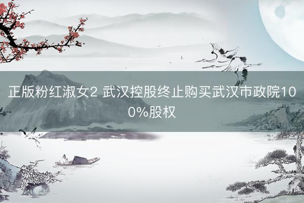正版粉红淑女2 武汉控股终止购买武汉市政院100%股权