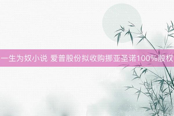 一生为奴小说 爱普股份拟收购挪亚圣诺100%股权