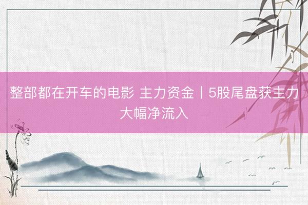 整部都在开车的电影 主力资金丨5股尾盘获主力大幅净流入