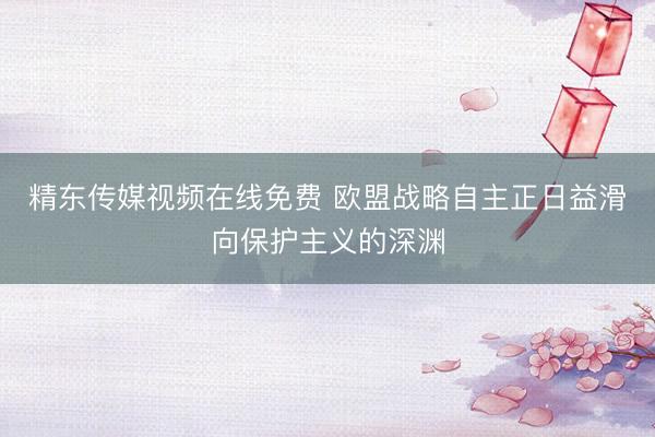 精东传媒视频在线免费 欧盟战略自主正日益滑向保护主义的深渊