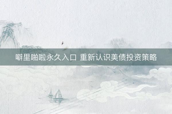 噼里啪啦永久入口 重新认识美债投资策略