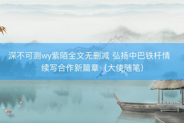 深不可测wy紫陌全文无删减 弘扬中巴铁杆情  续写合作新篇章（大使随笔）