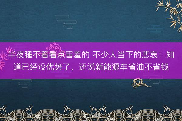 半夜睡不着看点害羞的 不少人当下的悲哀：知道已经没优势了，还说新能源车省油不省钱
