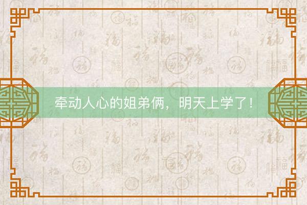 牵动人心的姐弟俩，明天上学了！