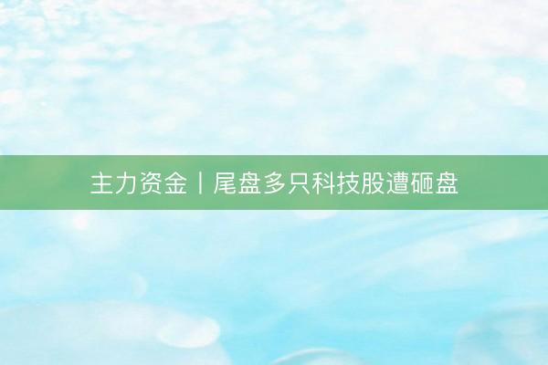 主力资金丨尾盘多只科技股遭砸盘