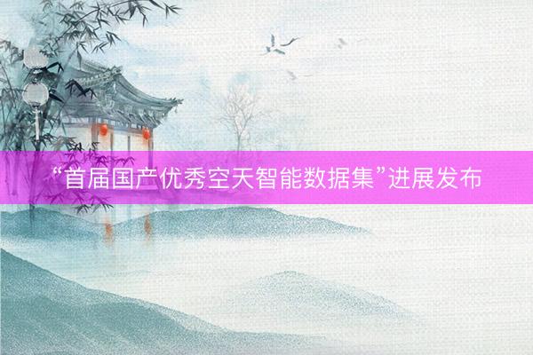 “首届国产优秀空天智能数据集”进展发布