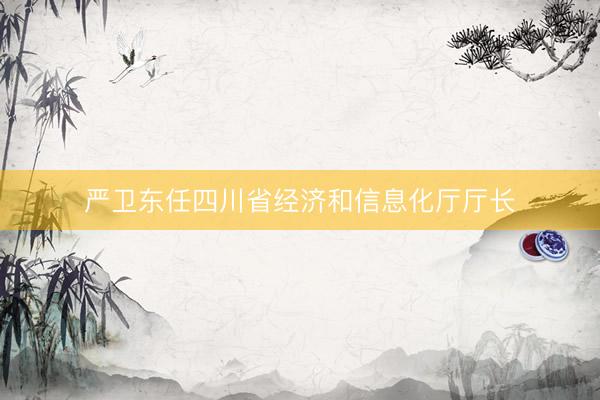 严卫东任四川省经济和信息化厅厅长