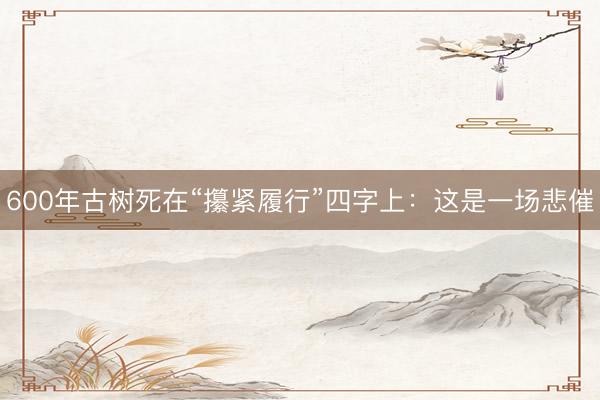 600年古树死在“攥紧履行”四字上：这是一场悲催