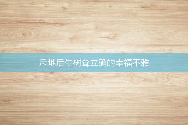 斥地后生树耸立确的幸福不雅
