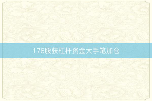 178股获杠杆资金大手笔加仓