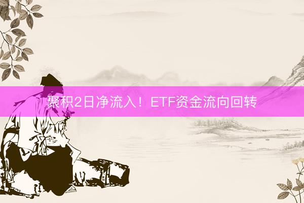 聚积2日净流入！ETF资金流向回转