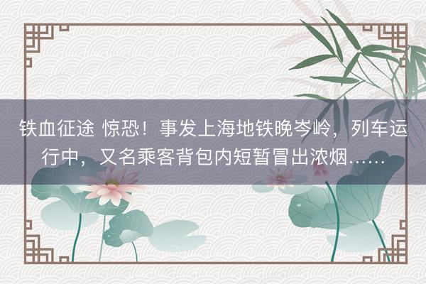 铁血征途 惊恐！事发上海地铁晚岑岭，列车运行中，又名乘客背包内短暂冒出浓烟……