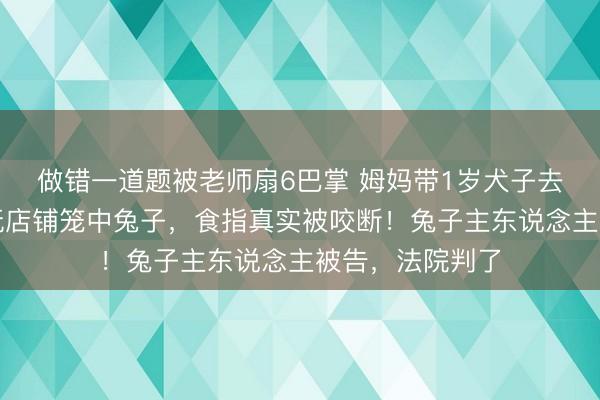 做错一道题被老师扇6巴掌 姆妈带1岁犬子去买菜，孩子逗玩店铺笼中兔子，食指真实被咬断！兔子主东说念主被告，法院判了