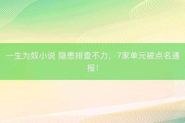 一生为奴小说 隐患排查不力，7家单元被点名通报！