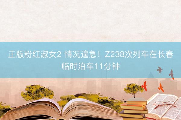 正版粉红淑女2 情况遑急！Z238次列车在长春临时泊车11分钟