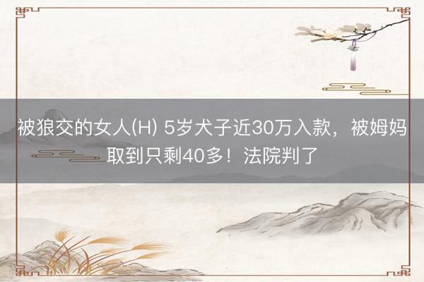 被狼交的女人(H) 5岁犬子近30万入款，被姆妈取到只剩40多！法院判了
