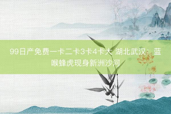 99日产免费一卡二卡3卡4卡大 湖北武汉：蓝喉蜂虎现身新洲沙河
