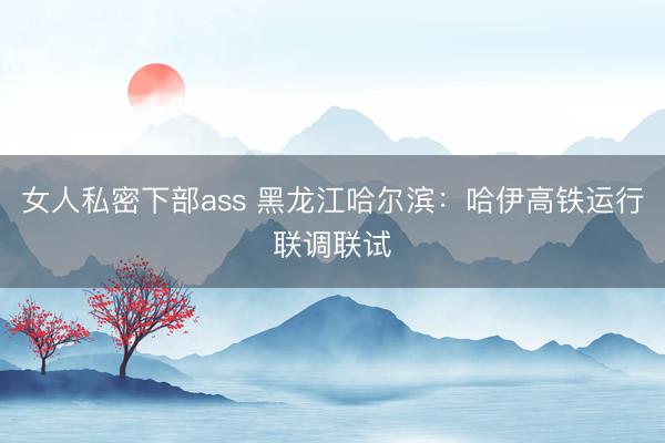 女人私密下部ass 黑龙江哈尔滨：哈伊高铁运行联调联试