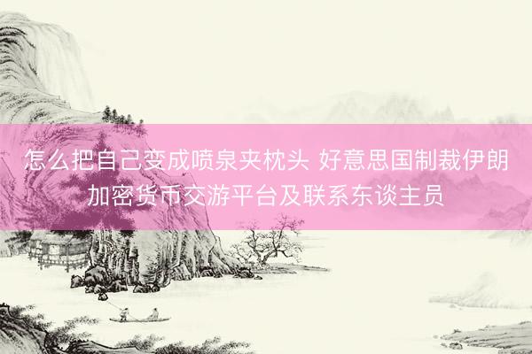 怎么把自己变成喷泉夹枕头 好意思国制裁伊朗加密货币交游平台及联系东谈主员