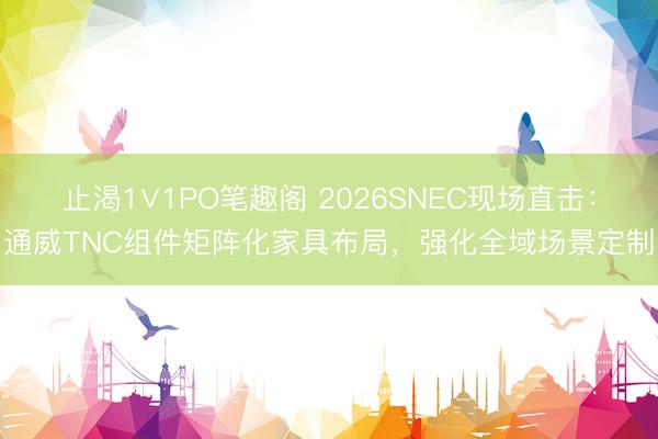 止渴1∨1PO笔趣阁 2026SNEC现场直击：通威TNC组件矩阵化家具布局，强化全域场景定制