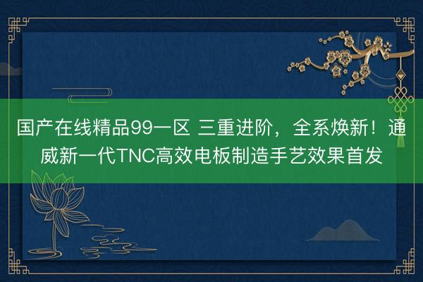 国产在线精品99一区 三重进阶，全系焕新！通威新一代TNC高效电板制造手艺效果首发