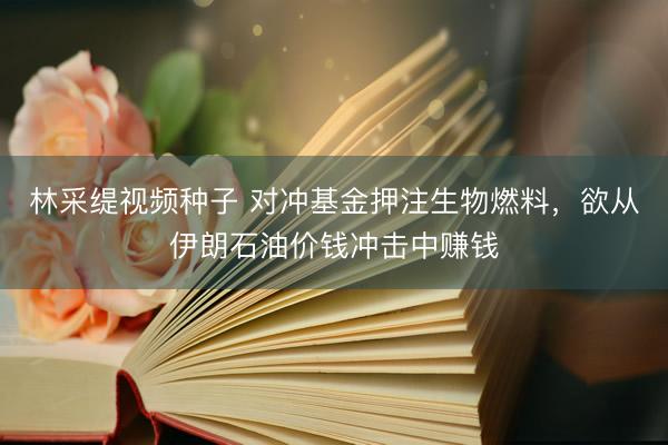 林采缇视频种子 对冲基金押注生物燃料，欲从伊朗石油价钱冲击中赚钱