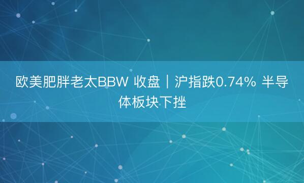 欧美肥胖老太BBW 收盘｜沪指跌0.74% 半导体板块下挫