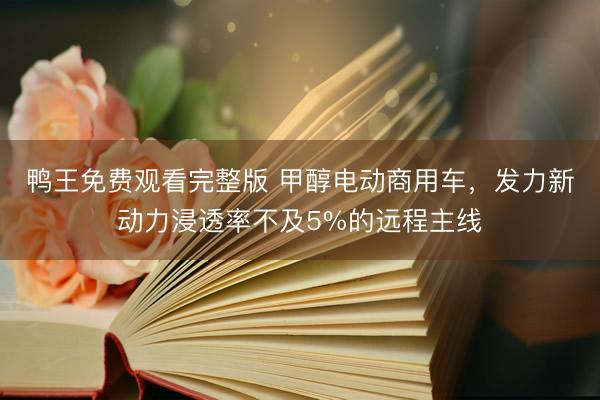 鸭王免费观看完整版 甲醇电动商用车，发力新动力浸透率不及5%的远程主线