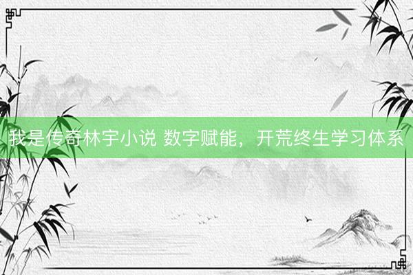 我是传奇林宇小说 数字赋能，开荒终生学习体系