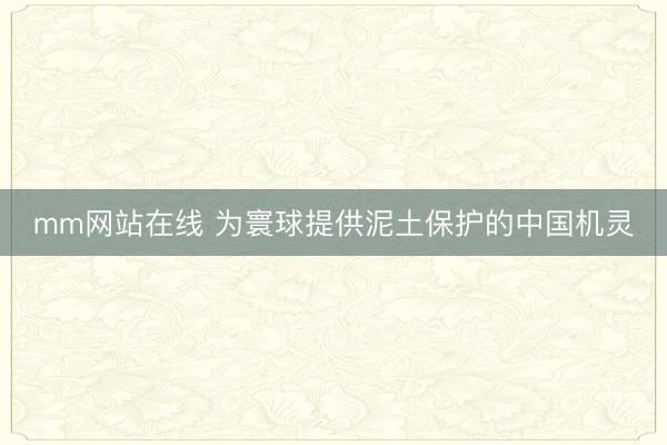 mm网站在线 为寰球提供泥土保护的中国机灵