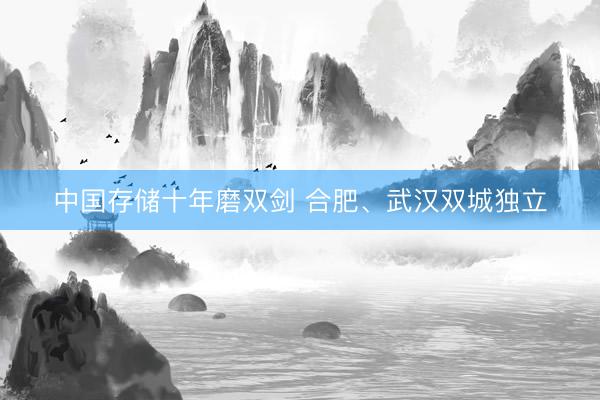 中国存储十年磨双剑 合肥、武汉双城独立