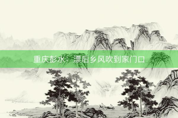 重庆彭水：漂后乡风吹到家门口