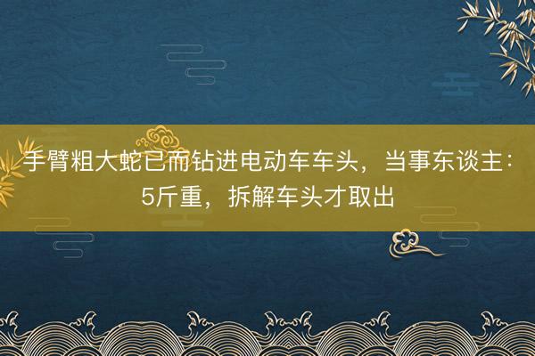 手臂粗大蛇已而钻进电动车车头，当事东谈主：5斤重，拆解车头才取出