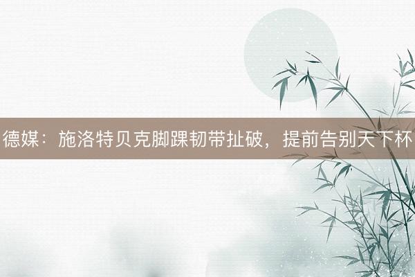 德媒：施洛特贝克脚踝韧带扯破，提前告别天下杯