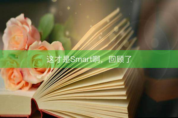 这才是Smart啊，回顾了