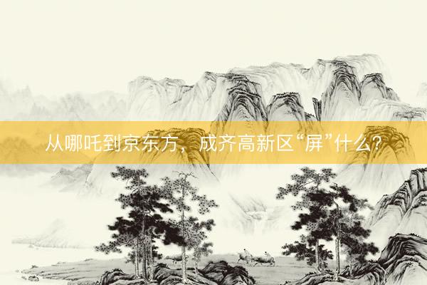 从哪吒到京东方，成齐高新区“屏”什么？